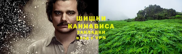 мдпв Галич