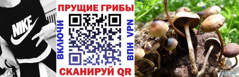 ОМГ ОМГ tor  Калтан  Галлюциногенные грибы GOLDEN TEACHER  купить  сайты 