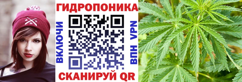 Каннабис SATIVA & INDICA  Калтан 